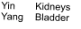 Yin	Kidneys Yang	Bladder